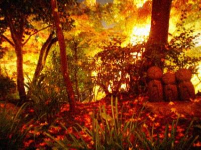 鎌倉日帰り旅行、後編。/Kamakura in Japan/