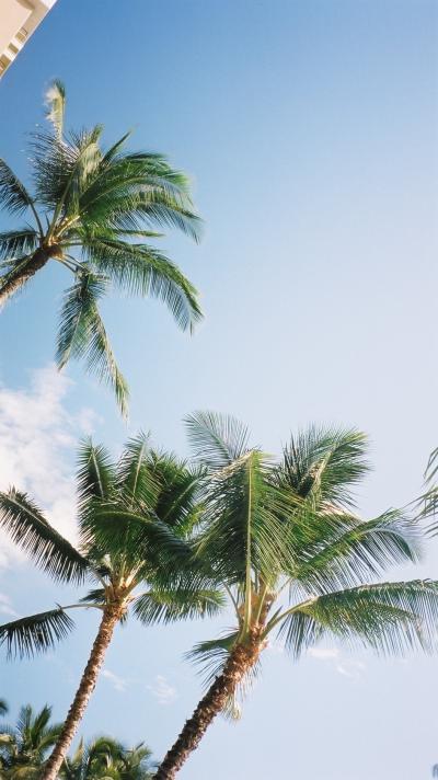 【2007 Hawaii】アクティブハワイ旅行