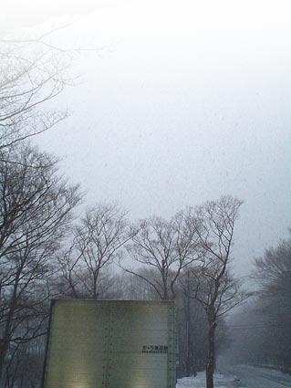 箱根旅行VOL.4。箱根おすすめ美術館「ポーラ美術館」へ.../Hakone in Japan/