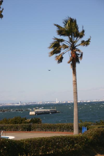 温泉放浪：三浦半島　SPASSO