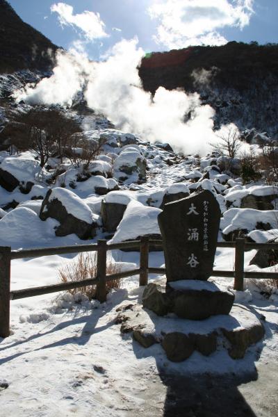 箱根にドライブ☆大涌谷で長寿とかまぼこの里でちくわを作ろう