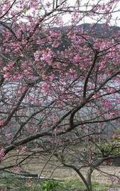 連休を利用して・・