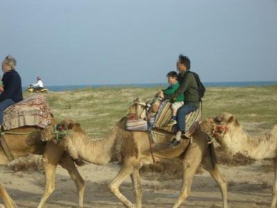 チュニジア・ジェルバ島7泊8日 クリスマスWeekの滞在