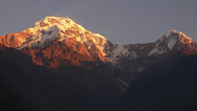 ネパール･アンナプルナＢＣ＆プーンヒル周回トレッキング･2007年冬〔５日目〕