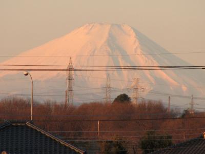 ふじみ野市からの富士山のモルゲンロート