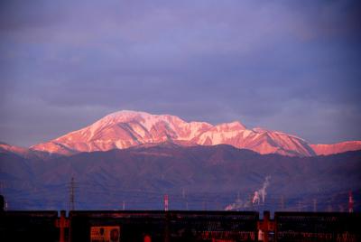 冬の伊吹山あれこれ