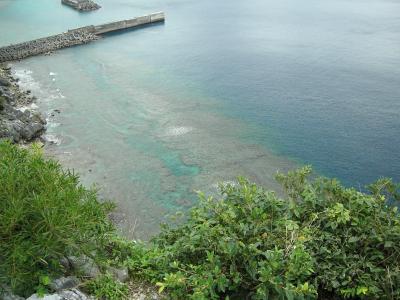 沖縄旅行（本島のみ）　2日目　～名護＆辺戸岬と茅打バンタ～