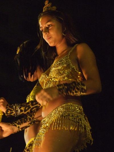 南米縦断の旅?ブラジルII リオデジャネイロPart３ カーニバル?