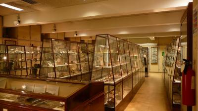 イギリス、フランスのエジプト探し&世界遺産巡り?