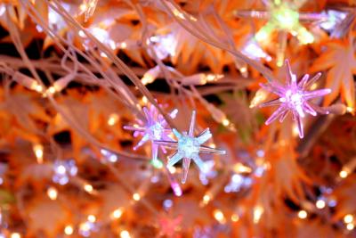 伊豆３世代旅行　（時の栖～）　★イルミネーションだ～　２日目【その４】　