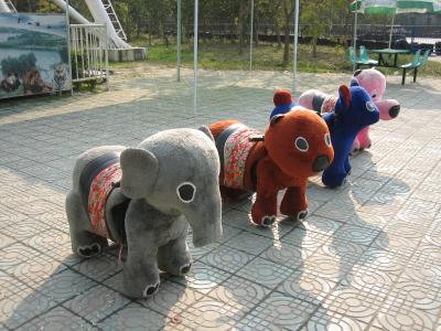 上海！～動物園を訪ねに～