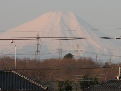 ふじみ野市からの富士山〔２月２７日〕