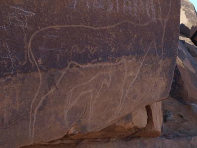 アルジェリアの砂漠1300キロの旅　　６　タリット    Taghit, Algeria