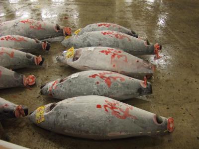 ぶらり途中下車のたび　その１　築地