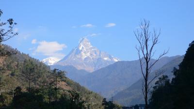 ネパール･アンナプルナＢＣ＆プーンヒル周回トレッキング･2007年冬〔１４日目〕