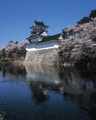 富山城、松川の桜