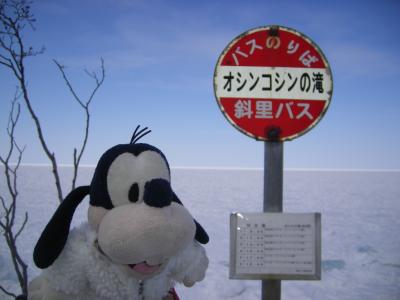 グーちゃん、流氷を見に行く！（オシンコシンの滝編）