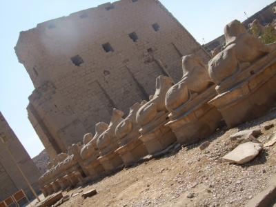 エジプト１１日間　＊ルクソール東岸＊