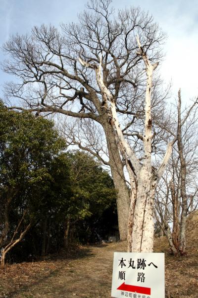 ひとり旅 [224] 半日旅行記＜神邊城跡＞広島県福山市