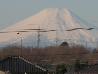 ふじみ野市からの富士山