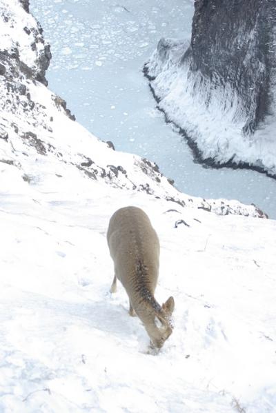 極寒の２月！道東・知床の旅（フレぺの滝編）