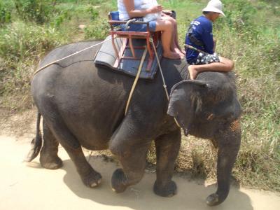 濃密なプーケットの旅(4)