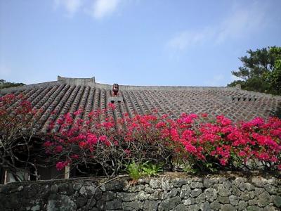 沖縄　～読谷村stay～