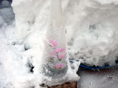 ２月の平湯温泉＆平湯大滝結氷まつり