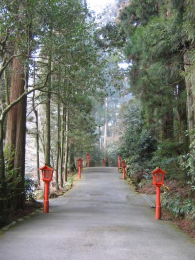 「水の音」さん宿泊と「箱根神社」詣での一人旅