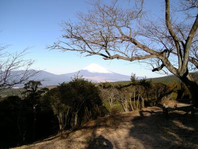 山中城