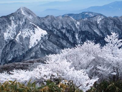 御在所の樹氷と吹雪