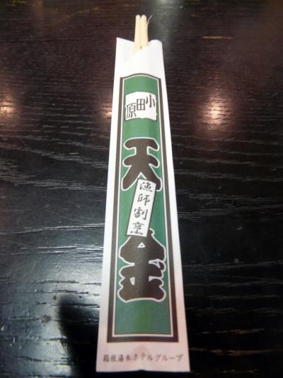 １１．漁師割烹 天金（てんきん）の昼食　特急踊り子号で小田原～三島までの旅