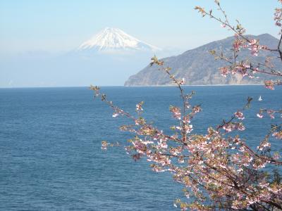 土肥へ行ってきました