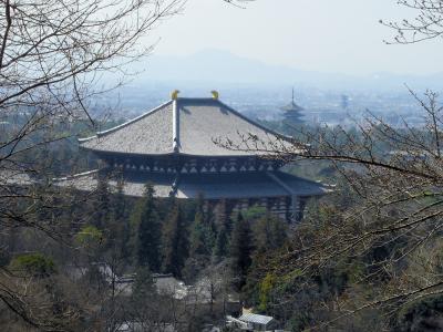 若草山　あをによし♪