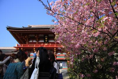 ぶらっと鎌倉へ