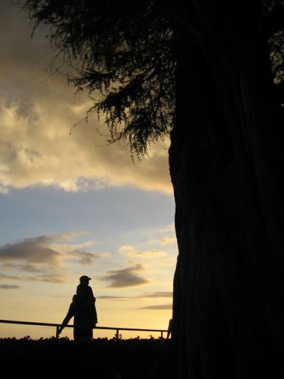 ハワイでもやっぱり★ビール★1日目