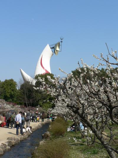 日本の旅　関西を歩く　大阪・万博公園の梅園と太陽の塔