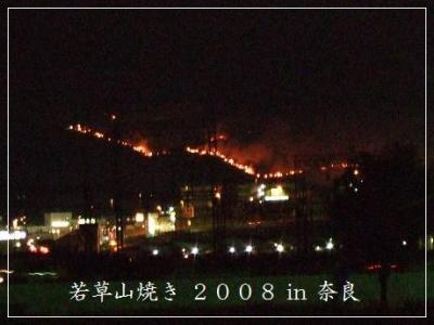 *奈良県　【若草山・山焼き】　２００８*