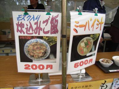お腹一杯の「沖縄花と食のフェスティバル」其の三