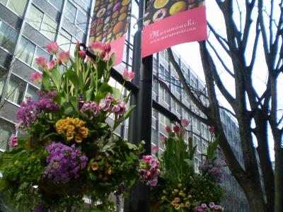 JOYFUL TULIP Marunouchi♪♪