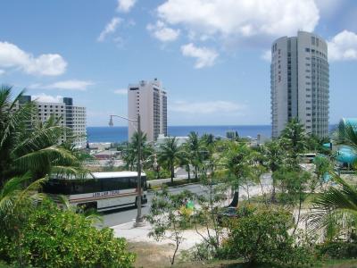 グアムでドルフィン