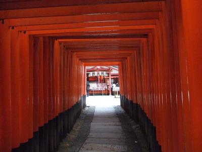 鳥居をぬければ春の嵐 in 京都