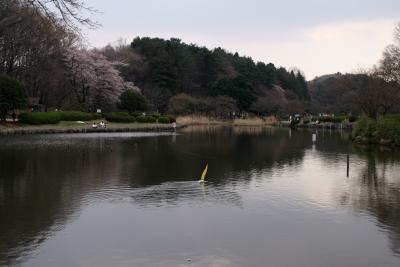 旧名『大池公園』。今の名は『こども自然公園』