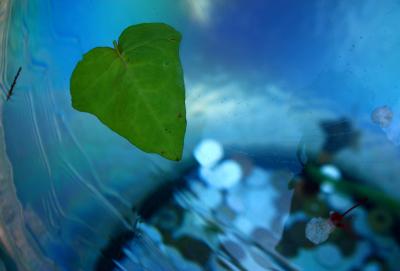 Wildな突風と春を呼ぶ色★2008【名古屋】