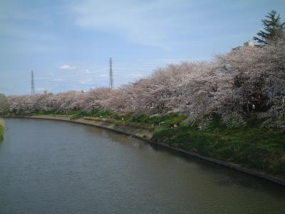 北越谷元荒川堤