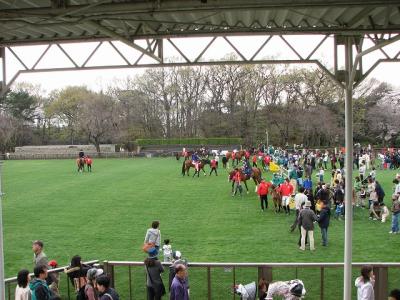 花と馬と。馬事公苑にて　