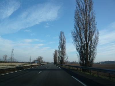 2008年 春 フランス ?(コルマール、リボーヴィレ、リクヴィル)