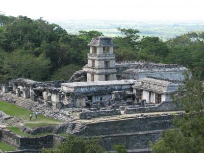 メキシコの旅（１）・・ラベンダ遺跡公園とパレンケ遺跡、カラクムル遺跡を訪ねて
