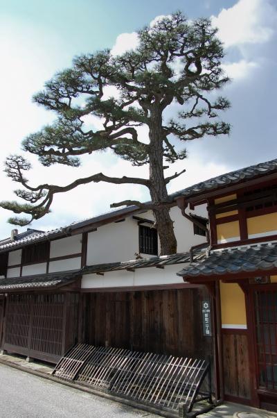 近江八幡、豊臣秀吉の城下町。日本の美。