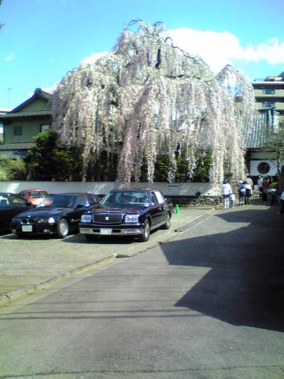 高尾駅南口徘徊